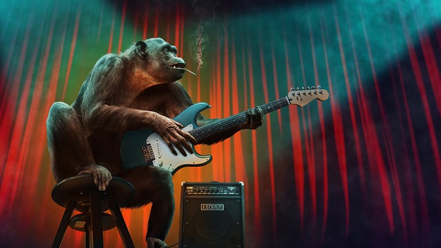 ギターを弾いている猿